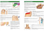 design booklets, catalogs, ebooks and company prospectus